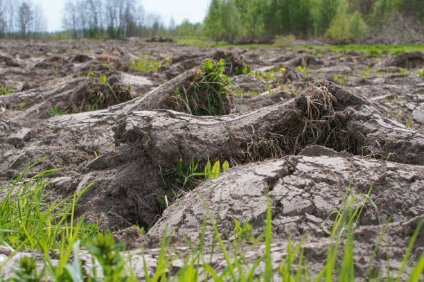 istock preparation of fields in the spring, plowed field 1256290498