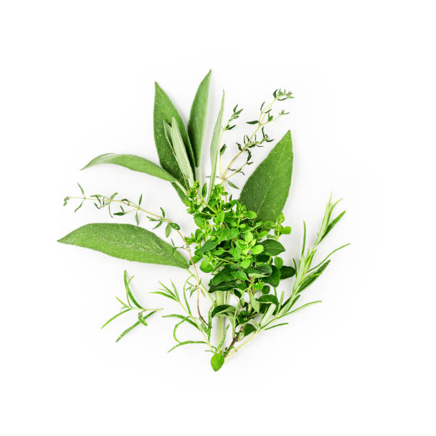 composition de romarin, marjolaine, sauge et thym - rosemary herb isolated ingredient photos et images de collection