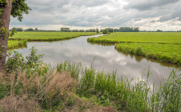 istock Typical Dutch polder landscape on a cloudy day 1256295962