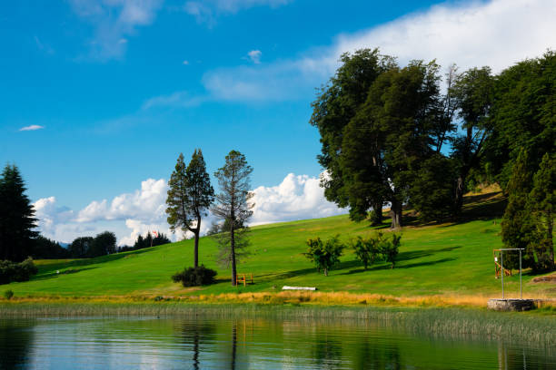 istock View of Perito Moreno Lake (Lago Moreno) and a park 1256297168