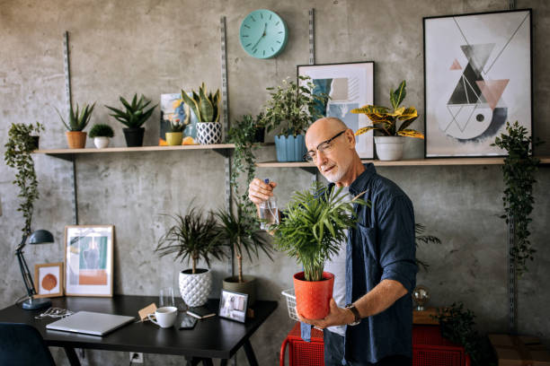 istock Senior man watering potted plants at home office 1256297859