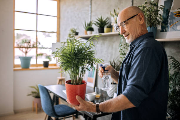 istock Senior man watering potted plants at home office 1256297890