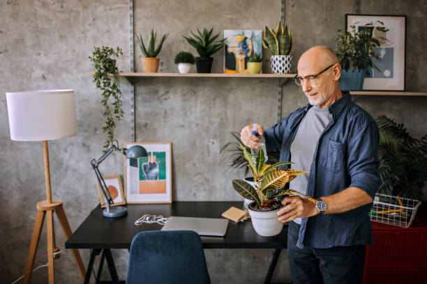 Senior man spraying his potted plants at home office