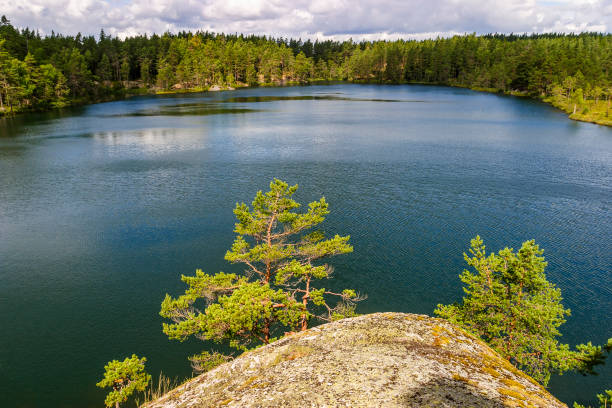 istock Beautiful view of a lake in a coniferous forest 1256298217