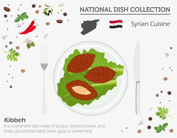 kuchnia syryjska. bliskowschodnia kolekcja potraw narodowych.  kibbeh wyizolowany na białym, infograpic - food elegance cutlet restaurant stock illustrations