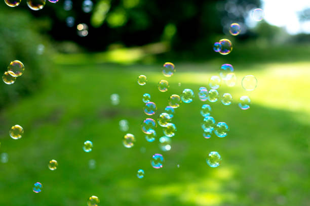 istock Soap Bubble isolated on green summer background. Kids fun activity. 1256299482