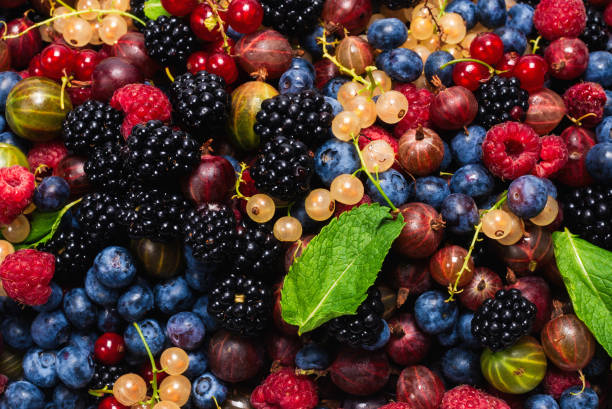 istock Gooseberries, blueberries, mulberry, raspberries, white and red currants. 1256299527