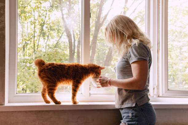 istock Ginger cat on the window sill drinking from the woman's cup 1256302756