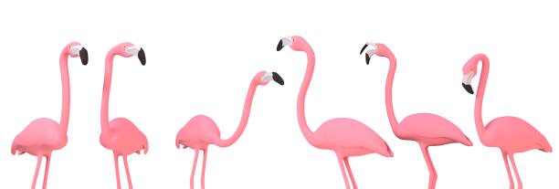 istock Pink flamingo illustration - 3D rendering 1256304278
