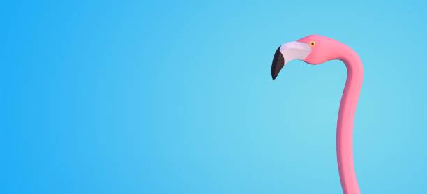 istock Pink flamingo illustration - 3D rendering 1256304280