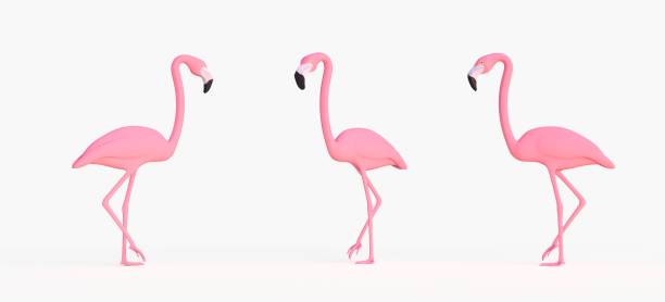 istock Pink flamingo illustration - 3D rendering 1256304281