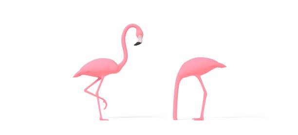 istock Pink flamingo illustration - 3D rendering 1256304299