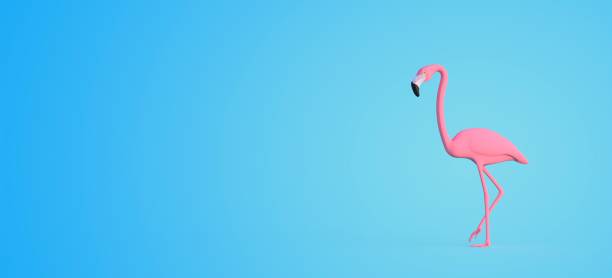 istock Pink flamingo illustration - 3D rendering 1256304309