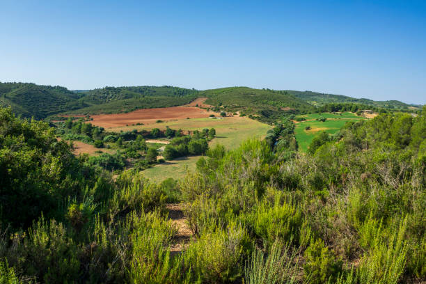 istock Landscape of the august way as it passes through Castellon 1256305375