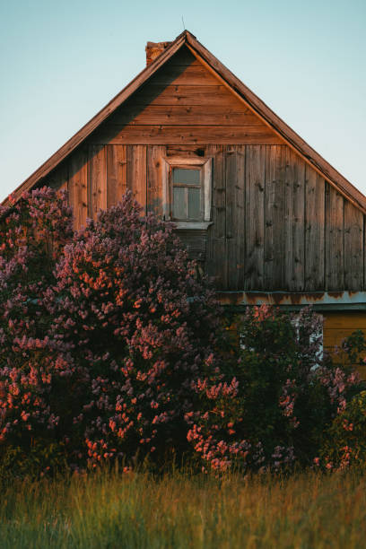 istock Old wooden hut. Rural landscape 1256307334