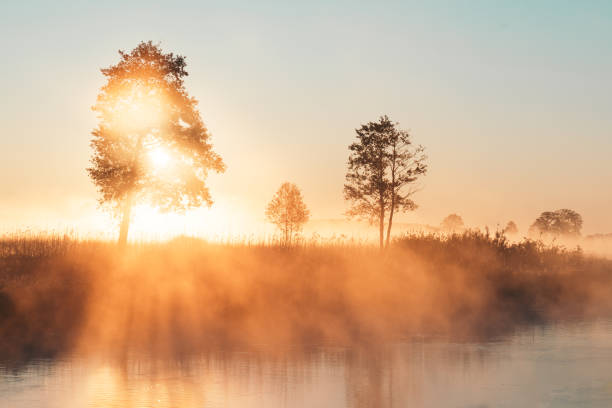 istock Foggy morning on a riverside. Sun reflections 1256307595