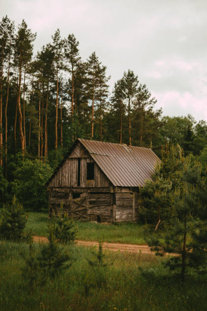 istock Old wooden hut. Rural landscape 1256307655