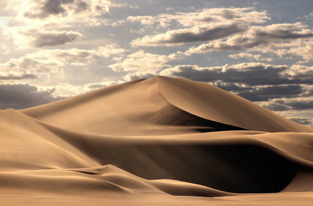 istock Golden sand dune 7 and white clouds on a sunny day 1256310186