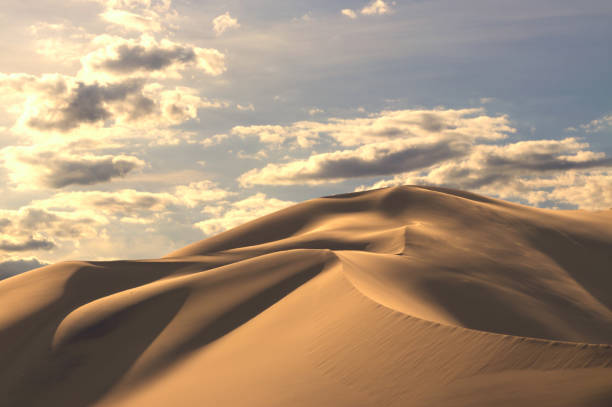 istock Golden sand dune 7 and white clouds on a sunny day 1256310305