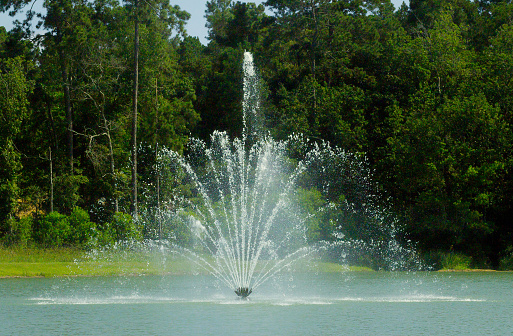 Water fountain centered in a pond in Conroe, TX.