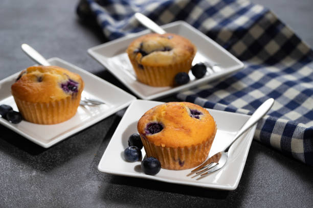 istock Homemade vanilla muffins with blueberries on a dark concrete background 1256310533