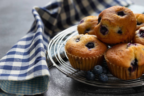 istock Homemade vanilla muffins with blueberries on a dark concrete background 1256310542