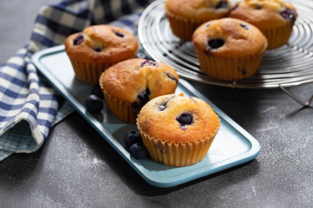 istock Homemade vanilla muffins with blueberries on a dark concrete background 1256310550