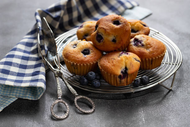istock Homemade vanilla muffins with blueberries on a dark concrete background 1256310558