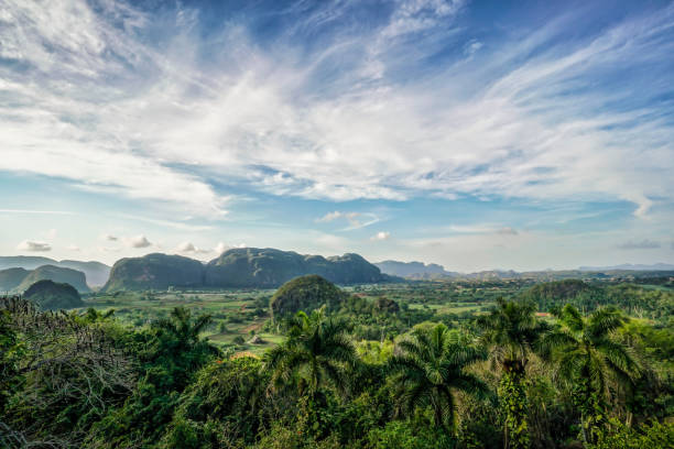istock Vinales Valley under beautiful sky in Cuba 1256310562