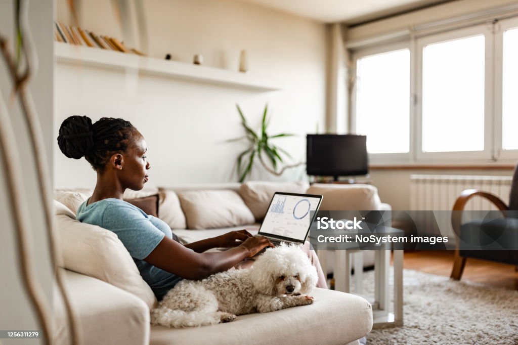 Woman working at home African-American woman working at home due to pandemic isolation. Belgrade, Serbia Working At Home Stock Photo