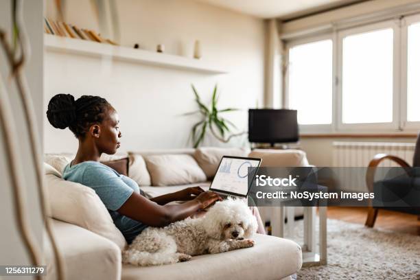 Woman Working At Home Stock Photo - Download Image Now - Working At Home, Telecommuting, Dog