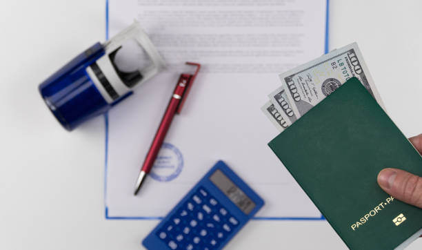 istock green passport with the money 1256311644