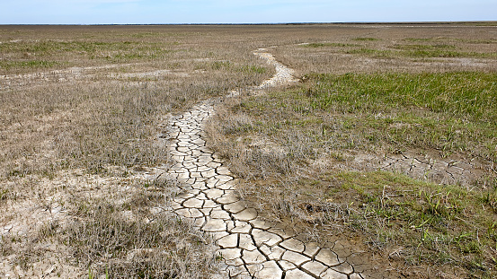 The cracked open surface of a trail winding through a dried out landscape, drought problems in the world, dry land texture concept, horizon over empty land.