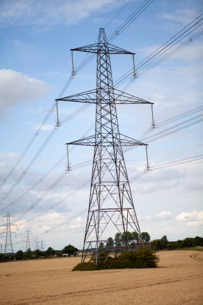 istock Electricity pylon in wheat field summer afternoon 1256312987