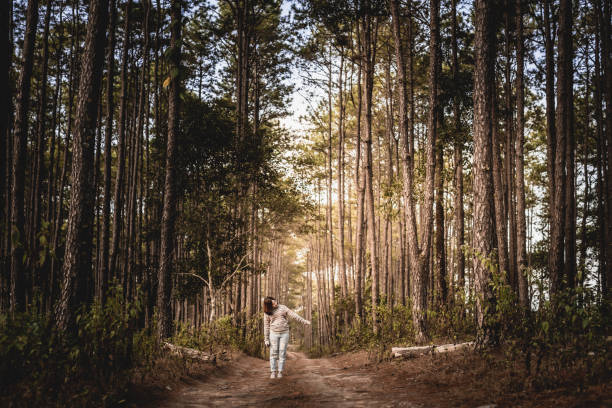 istock Woman Standing On Dirt Road Amidst Trees In Forest 1256313066