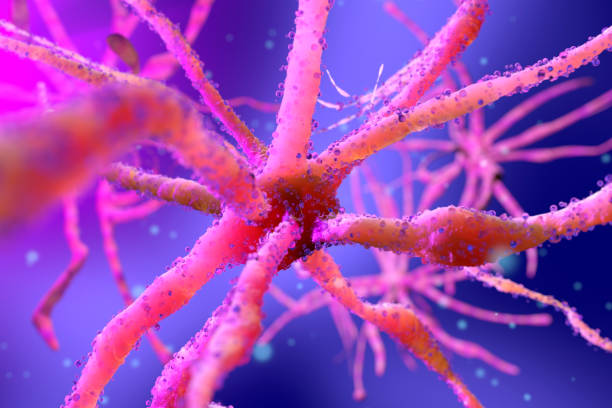 istock 3D rendered Illustration of a Neuronal cell 1256313565