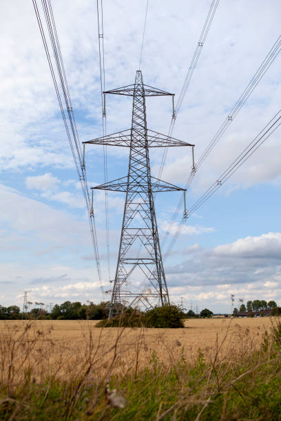 istock Electricity pylon in wheat field summer afternoon 1256314351