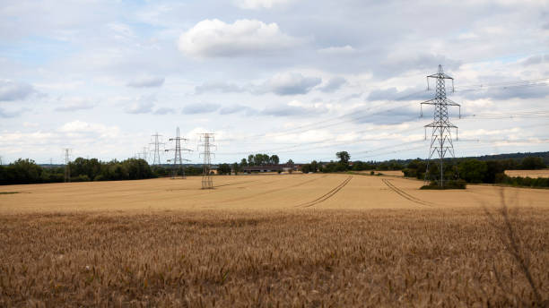 istock Electricity pylons in wheat field summer afternoon 1256314439