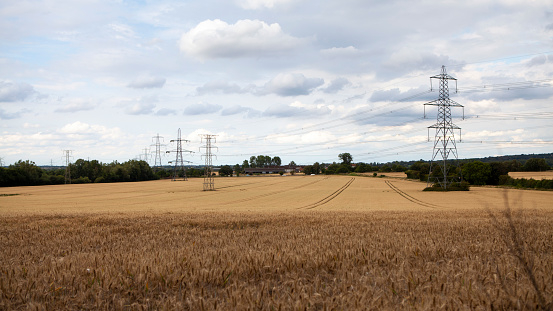 Panoramic view of electricity pylons against a bright cloudy sky in a field of wheat in Essex