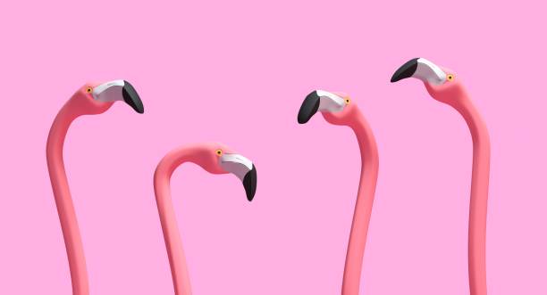 istock Pink flamingo illustration - 3D rendering 1256315731
