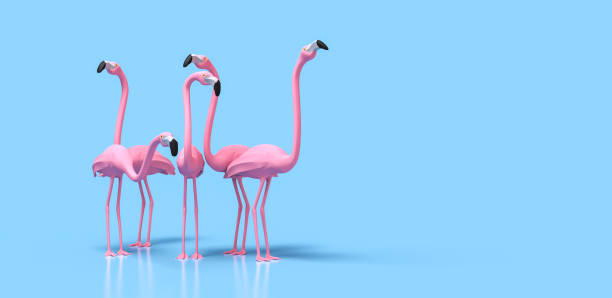 istock Pink flamingo illustration - 3D rendering 1256315757