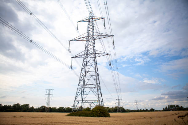 istock Electricity pylons in wheat field summer afternoon with dramatic sky 1256315890