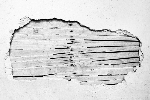 Cracked plaster fallen from wooden lath in an old ruin.