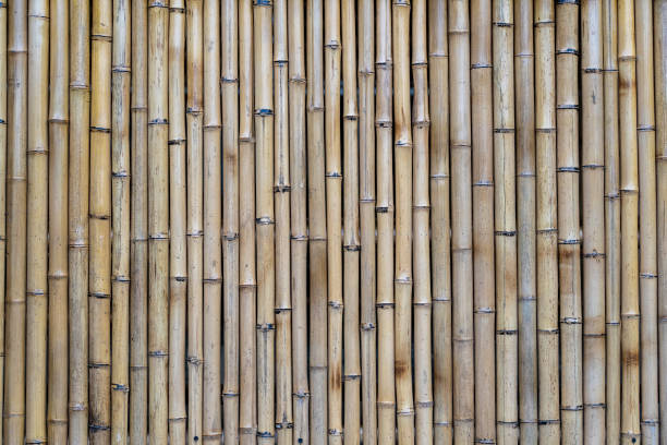 istock Bamboo fence or wall texture background for interior or exterior design. 1256316162