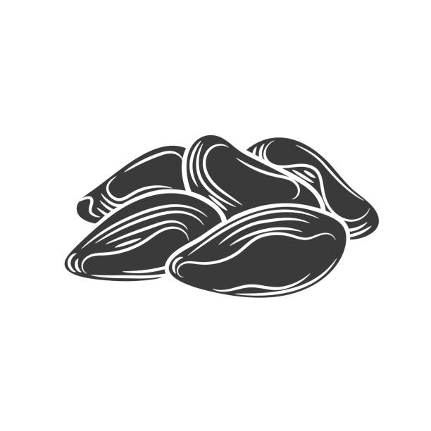 30+ Eating Brazil Nuts Stock Illustrations, Royalty-Free Vector