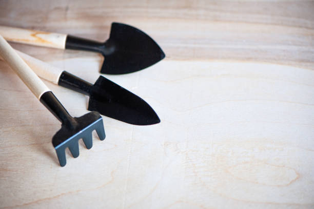 istock Rake and two spade on wooden background 1256316944