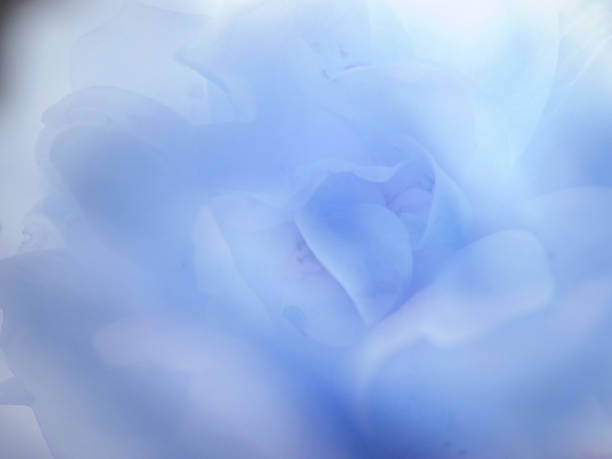 istock Monochrome light blue abstract background, perfectly usable for topics like summer, holiday, event, wealth etc. 1256318793