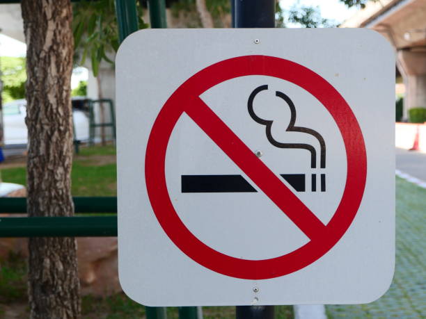 istock No smoking sign in the public park 1256318861