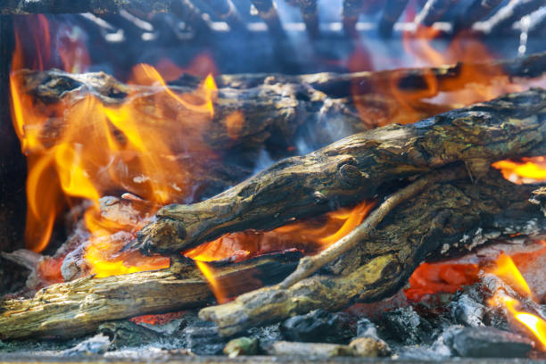 istock Metal grill with burning wood log. 1256320820
