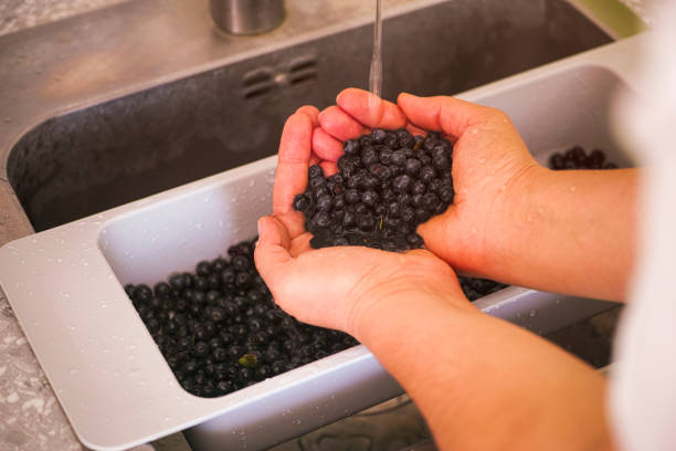 istock Woman hands washing blueberries in kitchen sink 1256322159